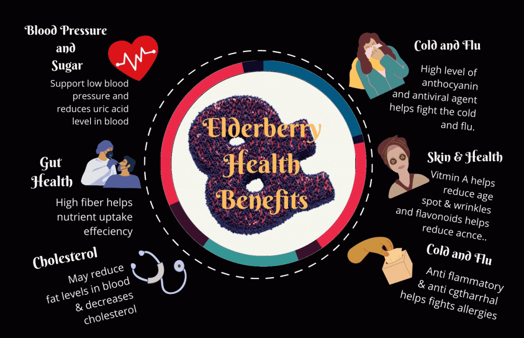 Elderberry Health Benefits