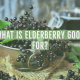 What is Elderberry Good for