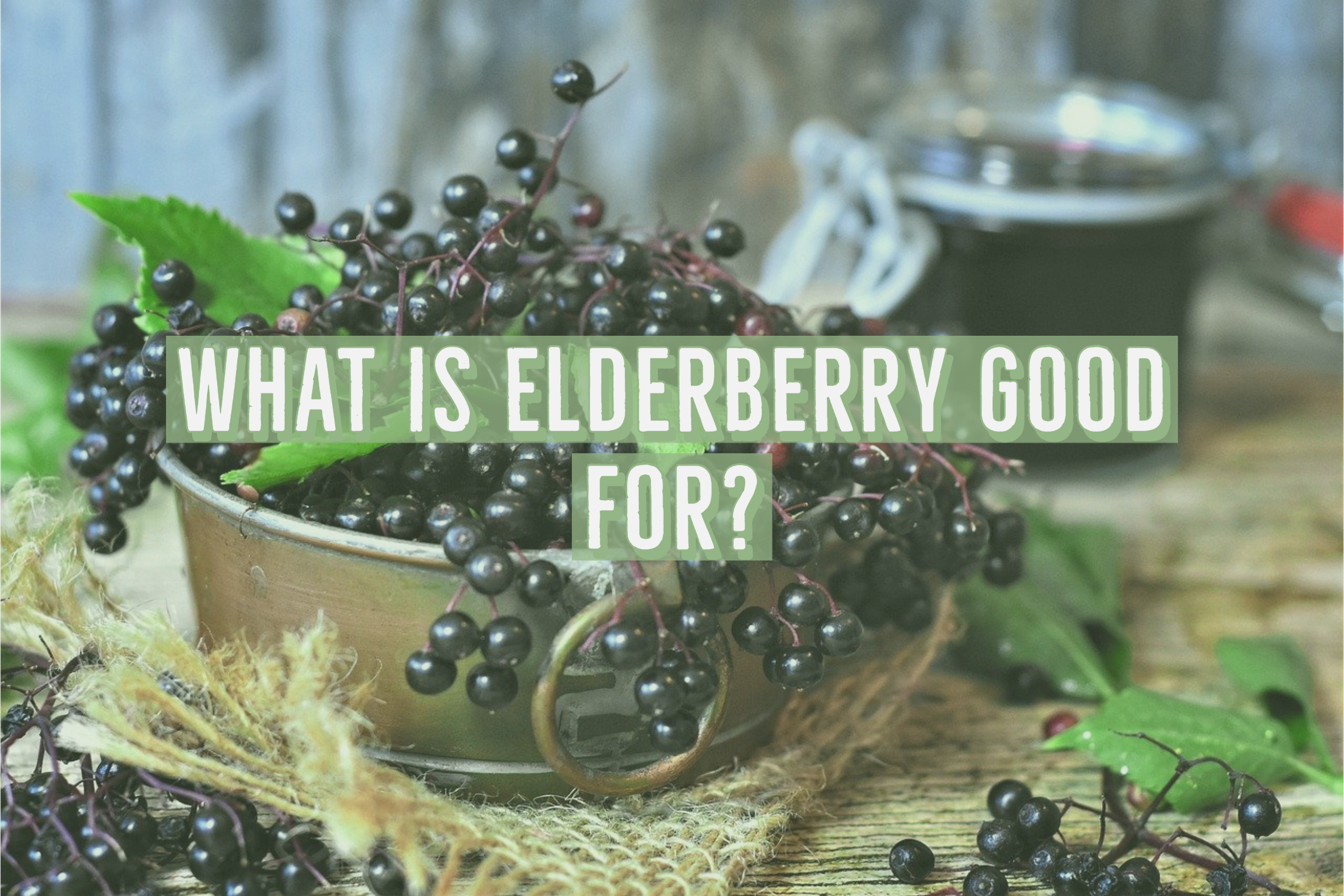 What is Elderberry Good for