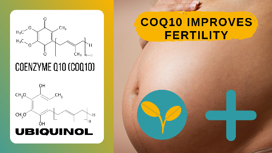 CoQ10 Could Help with Fertility