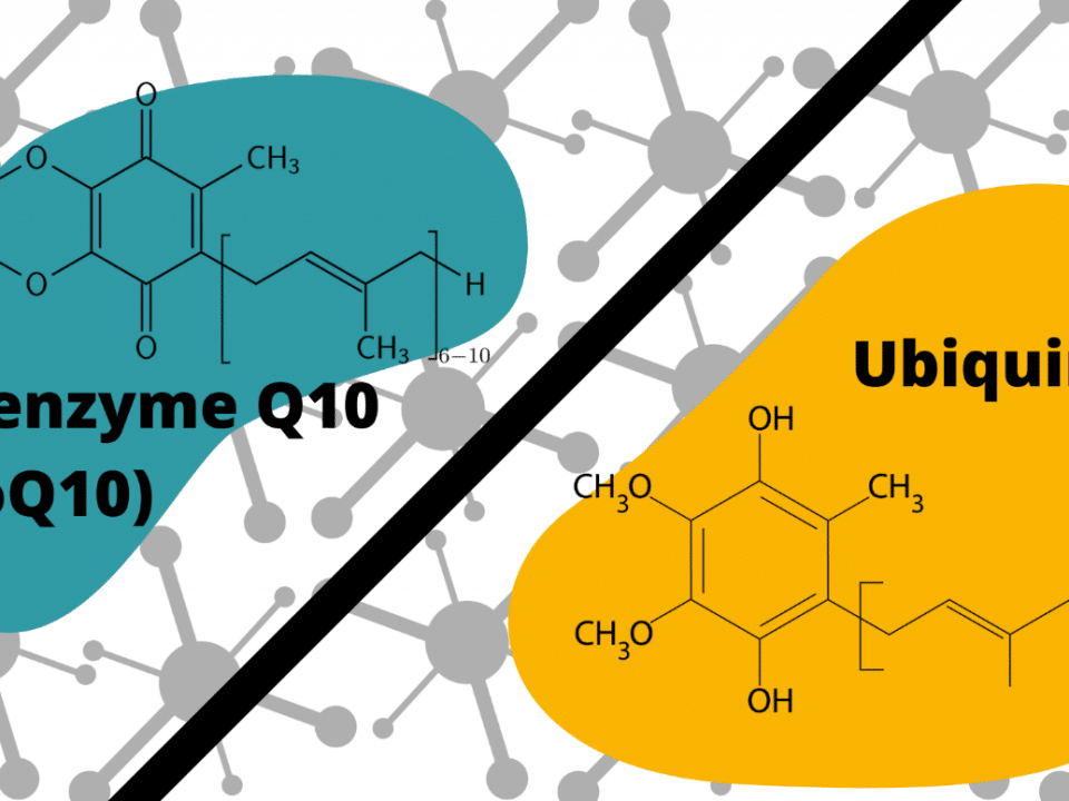 CoQ10 Vs Ubiquinol