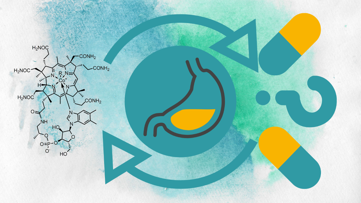 Does B12 Speed Up Your Metabolism