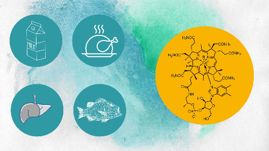 Sources of Vitamin B12