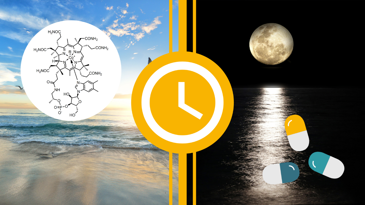What is the Best Time to Take Vitamin B12