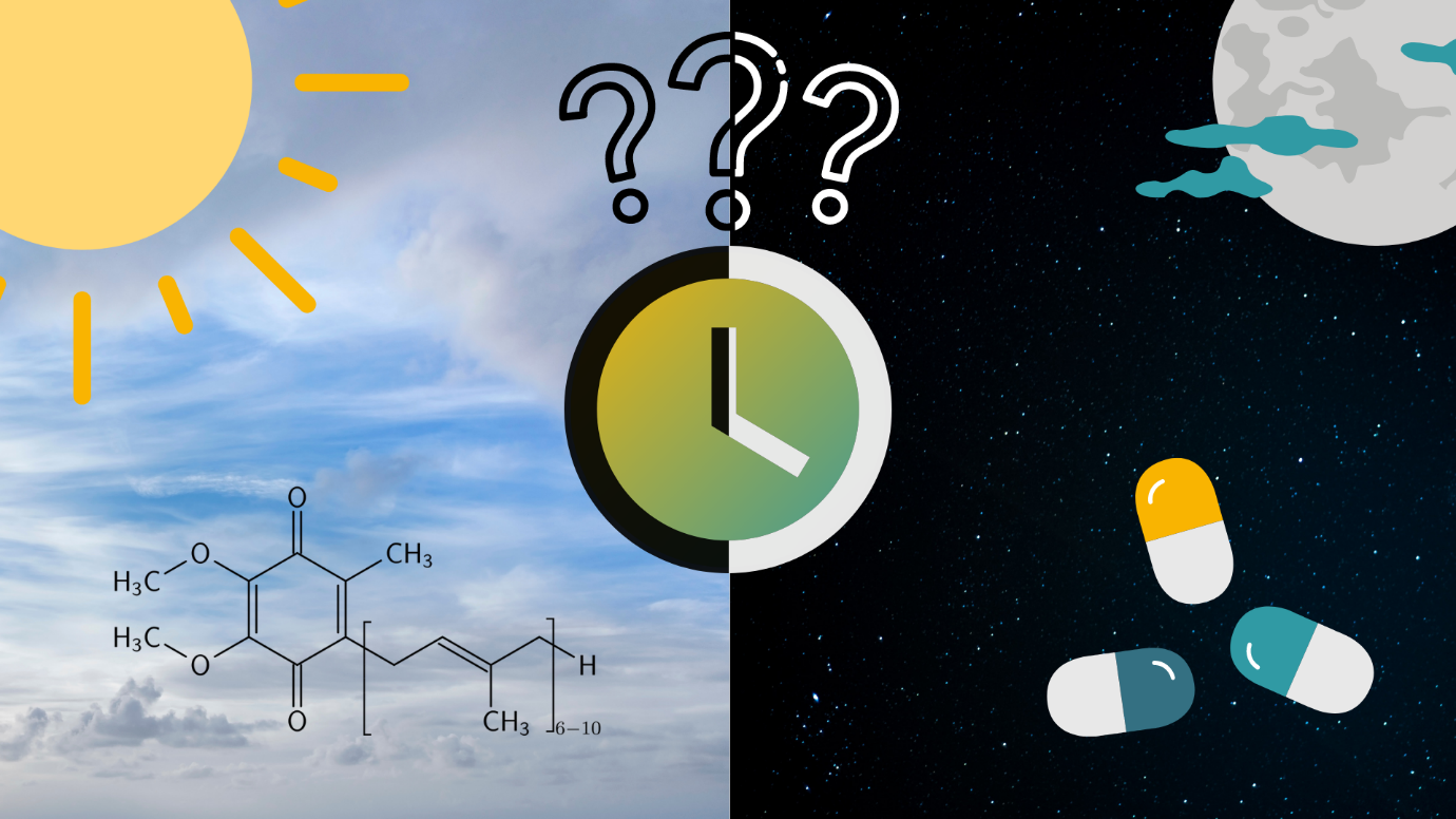 When Should I Take Coq10 Morning or Night