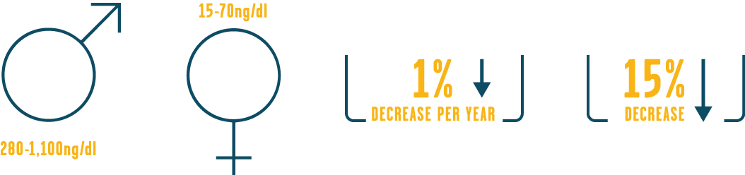 What are Average T levels