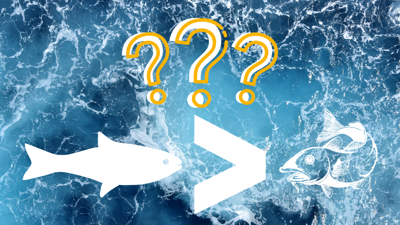 Is Cod Liver Oil Better Than Fish Oil