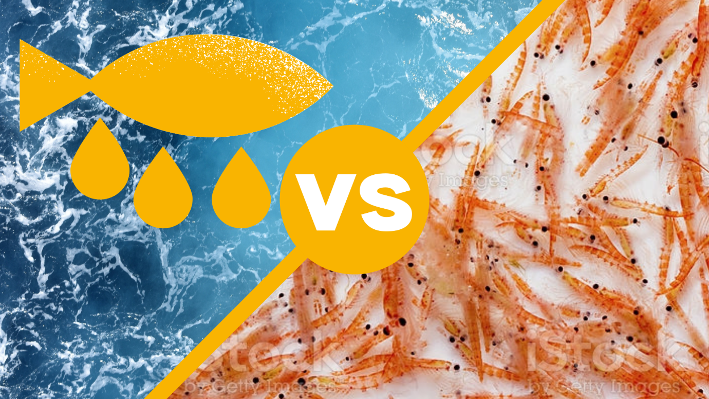 Krill Oil Vs Cod Liver Oil