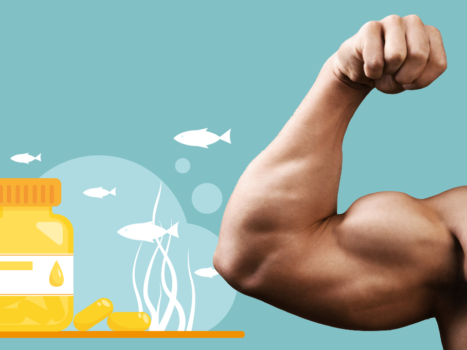 Which Is The Best Fish Oil For Bodybuilding?