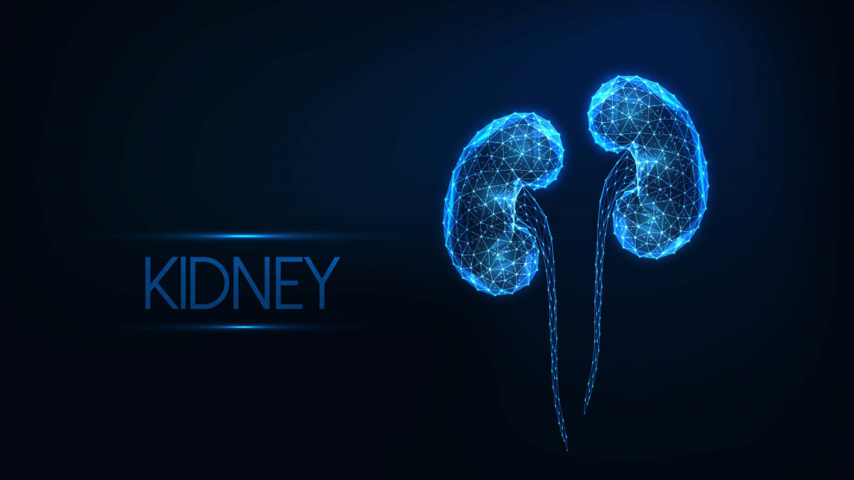 What Vitamins Are Good for Kidneys