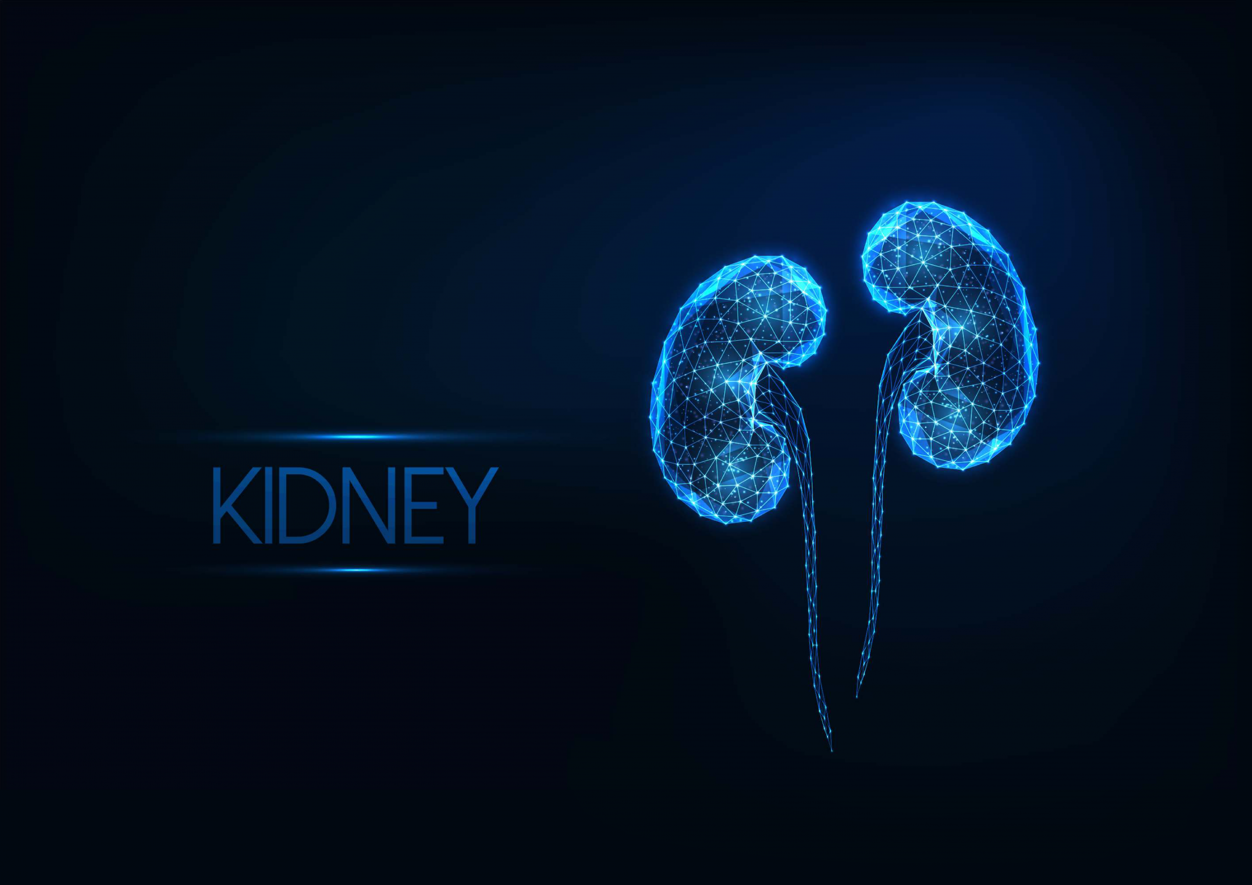 What Vitamins Are Good for Kidneys