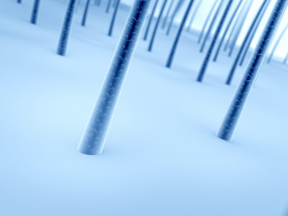 Biotin Vs Hairfinity