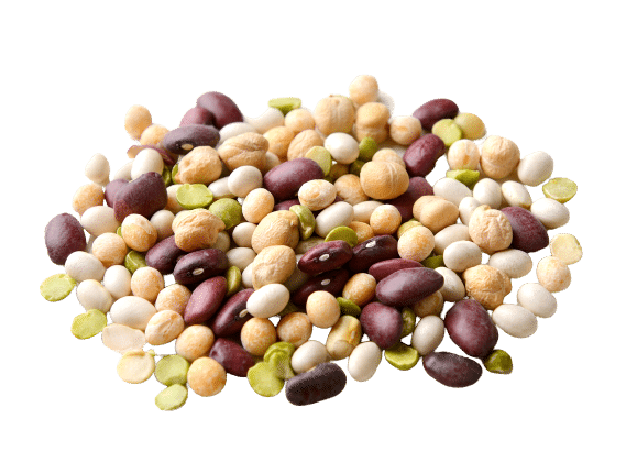 Legumes