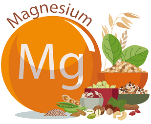 Magnesium 1 e1632219535261