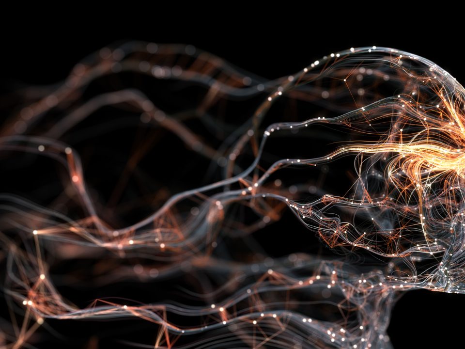 Supplements for Nervous System