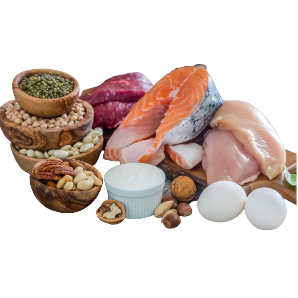 Protein removebg preview