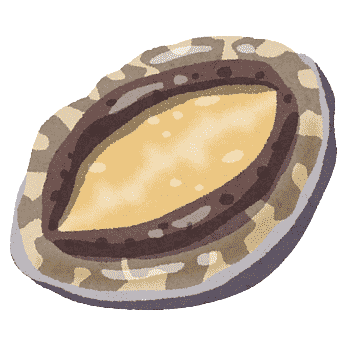 Abalone