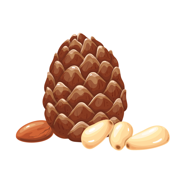 Pine Nuts