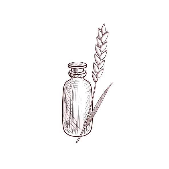 Wheat Germ Oil