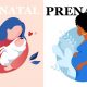 prenatal vs postnatal vitamins