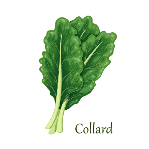 Collards