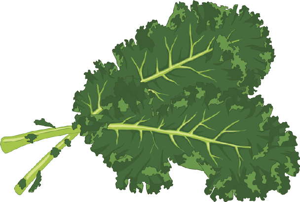Kale
