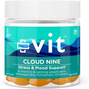 Vit Stress & Mood Support